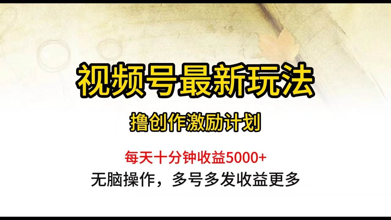 视频号最新玩法，每日一小时月入5000+-2Y资源