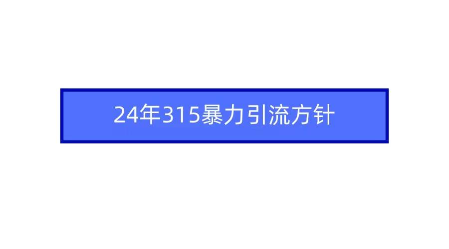 2024年315暴力引流方针-2Y资源