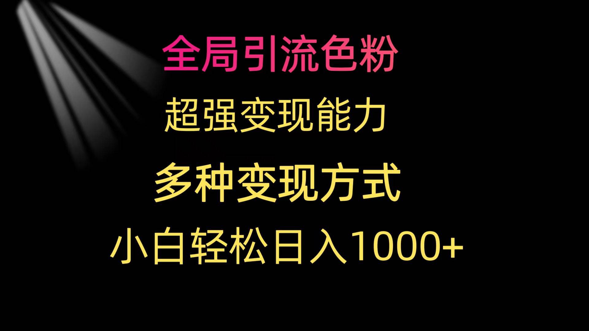 全局引流色粉 超强变现能力 多种变现方式 小白轻松日入1000+-2Y资源