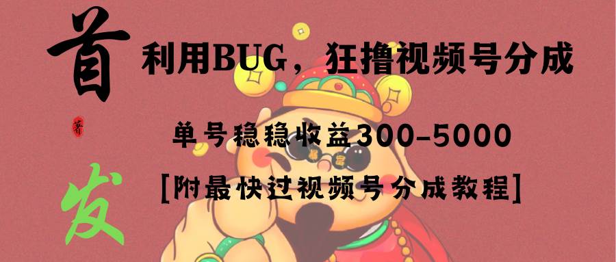 全网独家首发，视频号BUG，超短期项目，单号每日净收益300-5000！-2Y资源