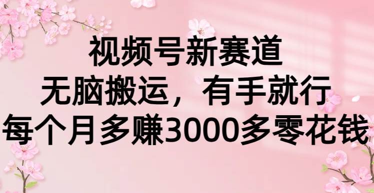 视频号新赛道，无脑搬运，有手就行，每个月多赚3000多零花钱-2Y资源