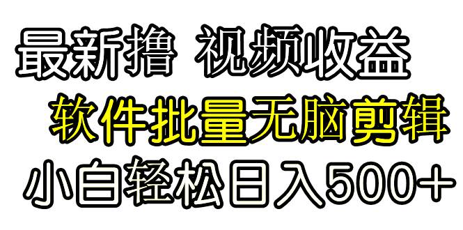 发视频撸收益，软件无脑批量剪辑，第一天发第二天就有钱 - 2Y资源-2Y资源