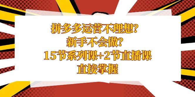 拼多多运营不理想？新手不会做？15节系列课+2节直播课，直接掌握 - 2Y资源-2Y资源