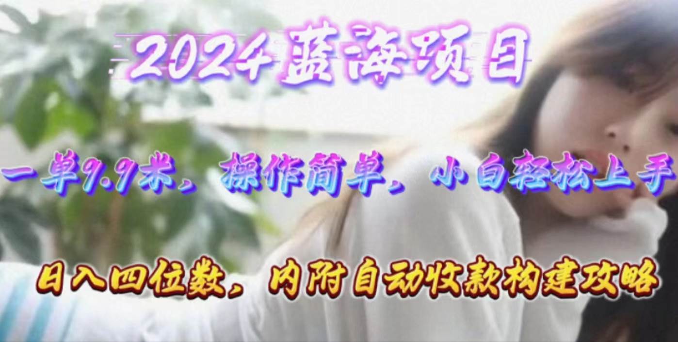 年轻群体的蓝海市场，1单9.9元，操作简单，小白轻松上手，日入四位数-2Y资源