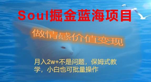 Soul掘金蓝海项目细分赛道，做情感价值变现，月入2w+不是问题-2Y资源