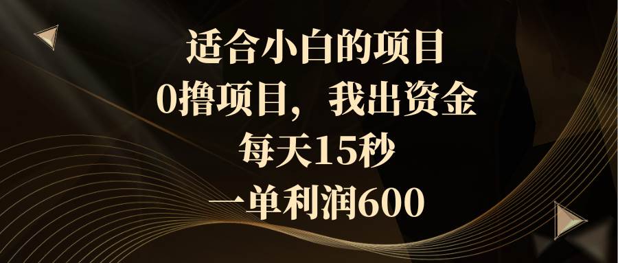 适合小白的项目，0撸项目，我出资金，每天15秒，一单利润600-2Y资源