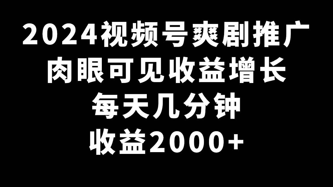 2024视频号爽剧推广，肉眼可见的收益增长，每天几分钟收益2000+-2Y资源