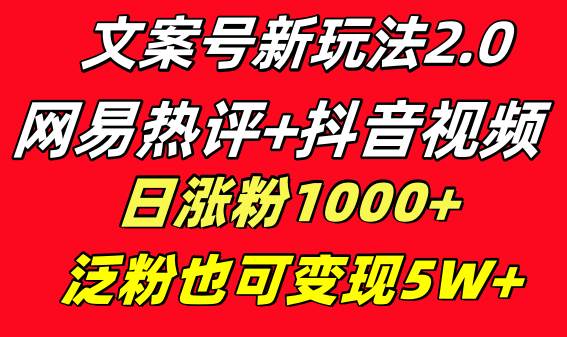 文案号新玩法 网易热评+抖音文案 一天涨粉1000+ 多种变现模式 泛粉也可变现-2Y资源