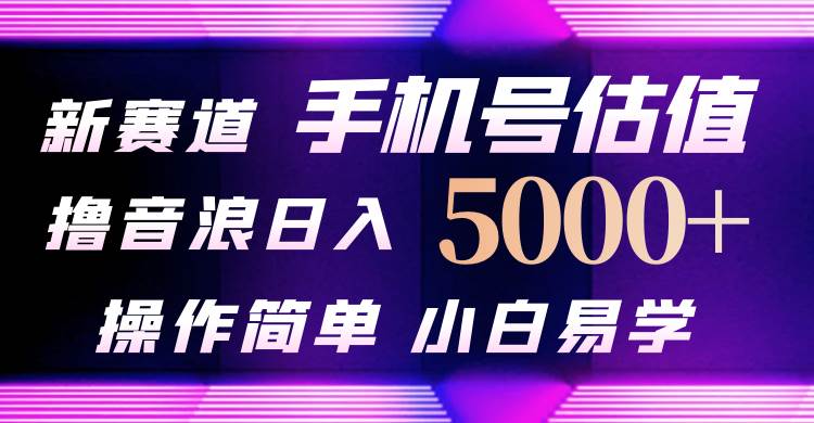 抖音不出境直播【手机号估值】最新撸音浪，日入5000+，简单易学，适合…-2Y资源