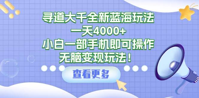 寻道大千全新蓝海玩法，一天4000+，小白一部手机即可操作，无脑变现玩法！-2Y资源