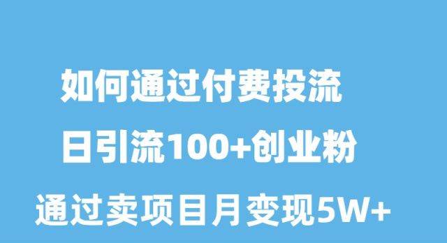 如何通过付费投流日引流100+创业粉月变现5W+ - 2Y资源-2Y资源