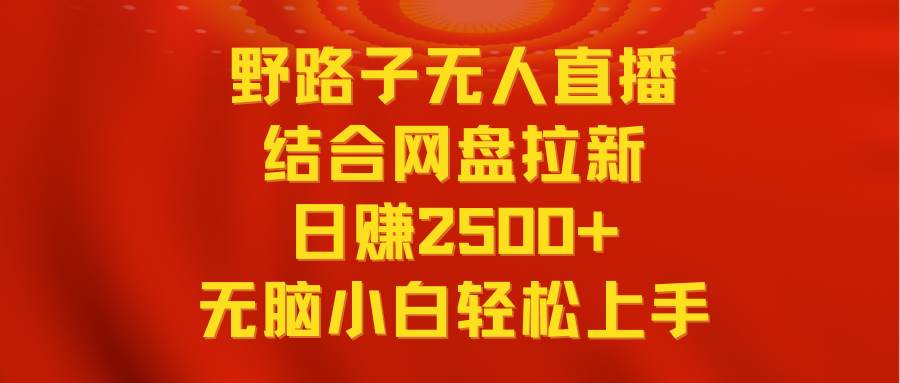 无人直播野路子结合网盘拉新，日赚2500+多平台变现，小白无脑轻松上手操作-2Y资源