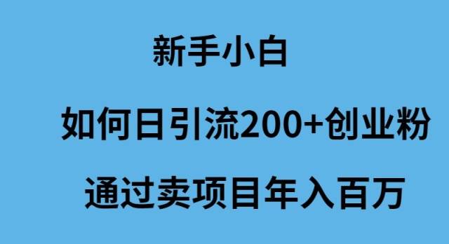 新手小白如何日引流200+创业粉通过卖项目年入百万 - 2Y资源-2Y资源