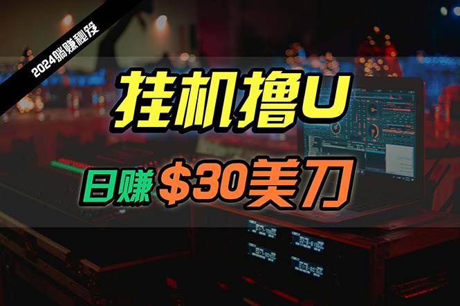 日赚30美刀，2024最新海外挂机撸U内部项目，全程无人值守，可批量放大-2Y资源