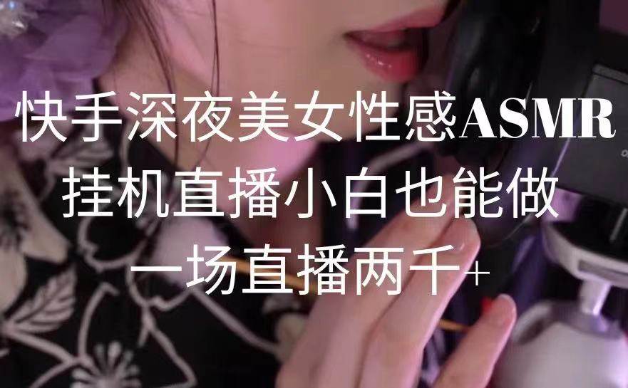 快手深夜美女性感ASMR挂机直播，小白也能做，一场直播两千+-2Y资源