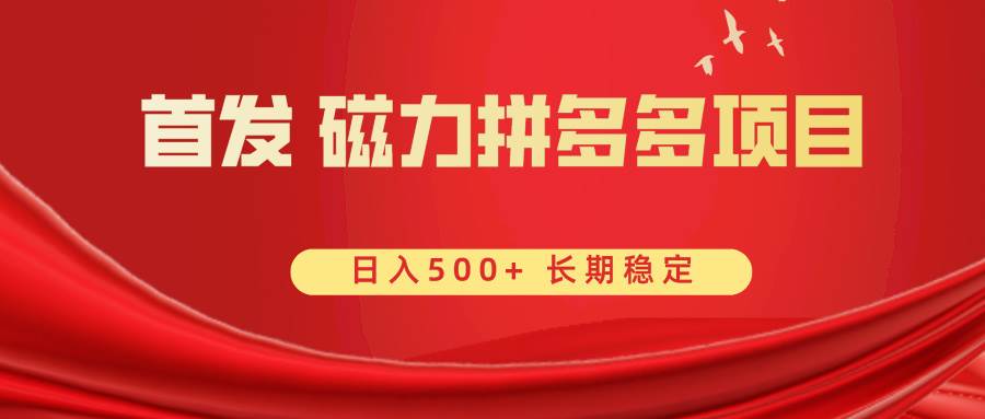 首发 磁力拼多多自撸  日入500+-2Y资源