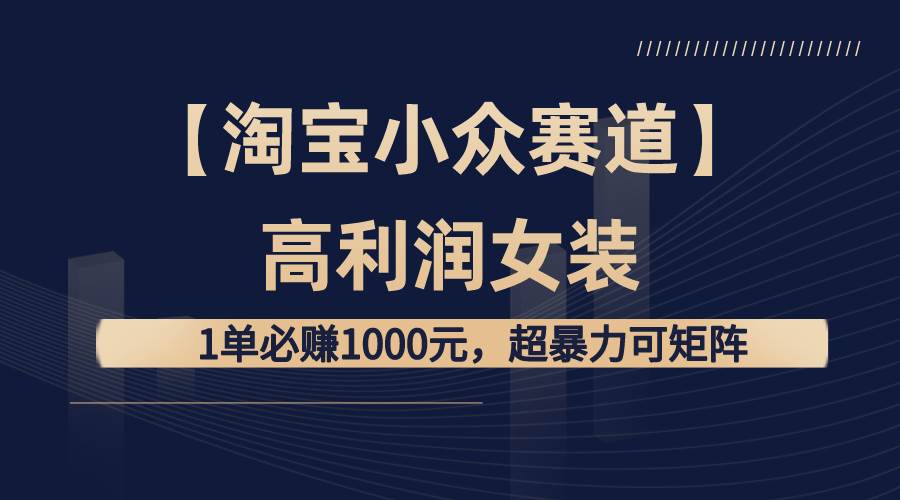 【淘宝小众赛道】高利润女装：1单必赚1000元，超暴力可矩阵-2Y资源