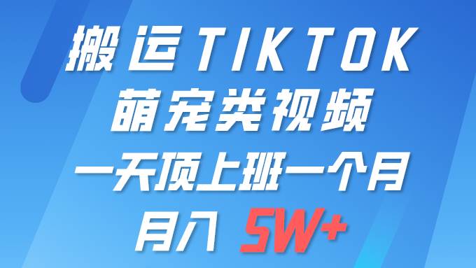 一键搬运TIKTOK萌宠类视频 一部手机即可操作 所有平台均可发布 轻松月入5W+-2Y资源