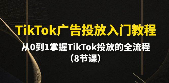 TikTok广告投放入门教程，从0到1掌握TikTok投放的全流程（8节课） - 2Y资源-2Y资源