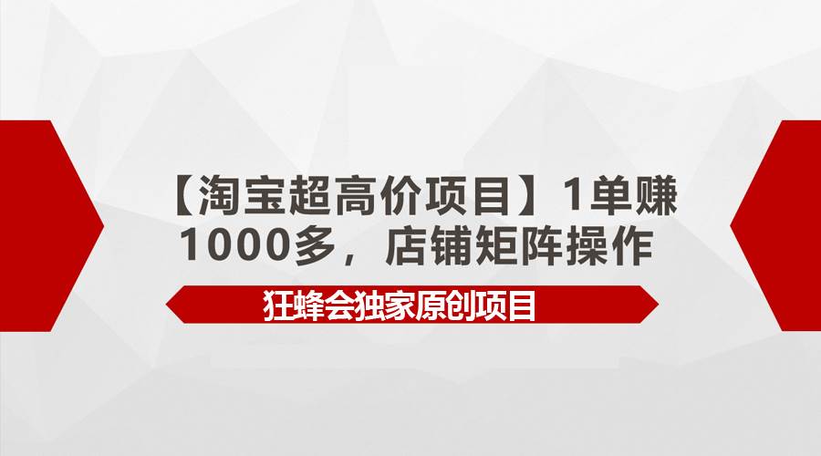 【淘宝超高价项目】1单赚1000多，店铺矩阵操作-2Y资源