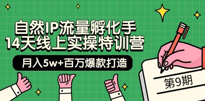 自然IP流量孵化手 14天线上实操特训营【第9期】月入5w+百万爆款打造 (74节)-2Y资源