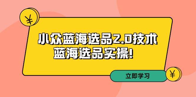 拼多多培训第33期：小众蓝海选品2.0技术-蓝海选品实操！-2Y资源