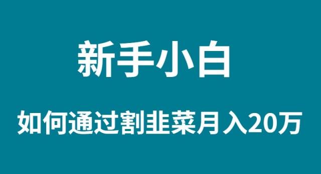 新手小白如何通过割韭菜月入 20W-2Y资源