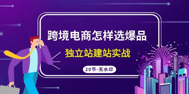 跨境电商怎样选爆品，独立站建站实战（20节高清无水印课） - 2Y资源-2Y资源