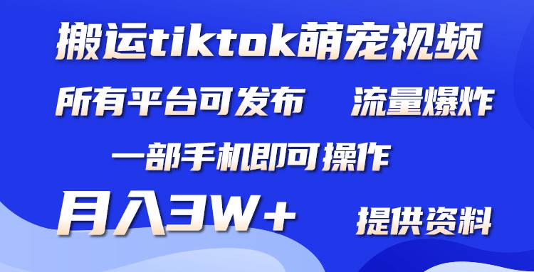 搬运Tiktok萌宠类视频，一部手机即可。所有短视频平台均可操作，月入3W+-2Y资源