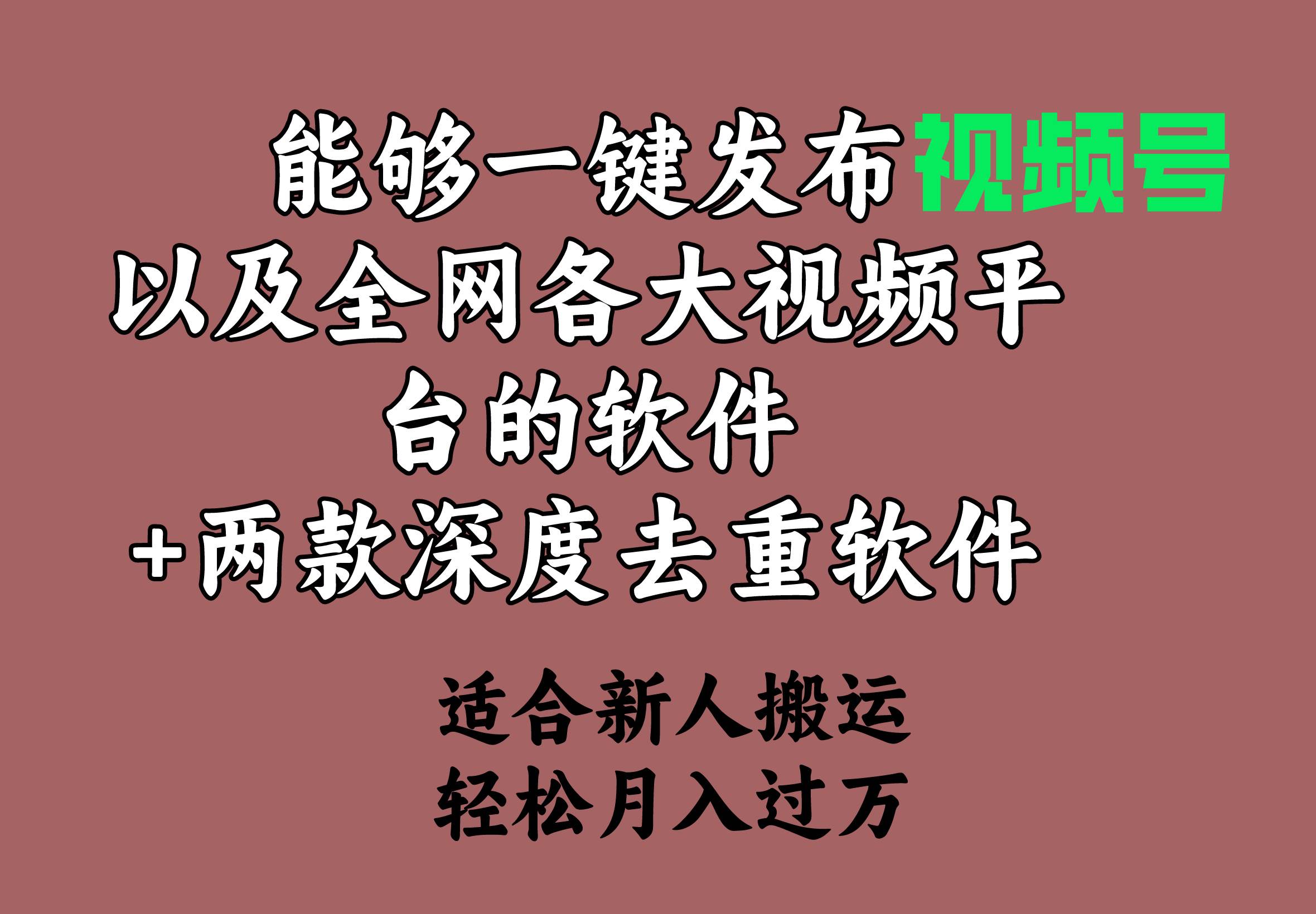 能够一键发布视频号以及全网各大视频平台的软件+两款深度去重软件 适合…-2Y资源