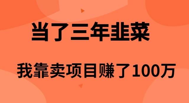 当了3年韭菜，我靠卖项目赚了100万-2Y资源