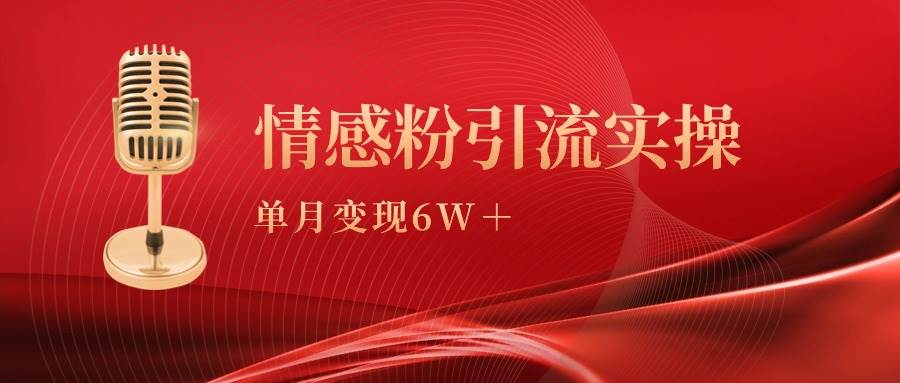 单月变现6w+，情感粉引流变现实操课-2Y资源