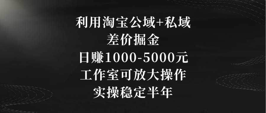 利用淘宝公域+私域差价掘金，日赚1000-5000元，工作室可放大操作，实操... - 2Y资源-2Y资源