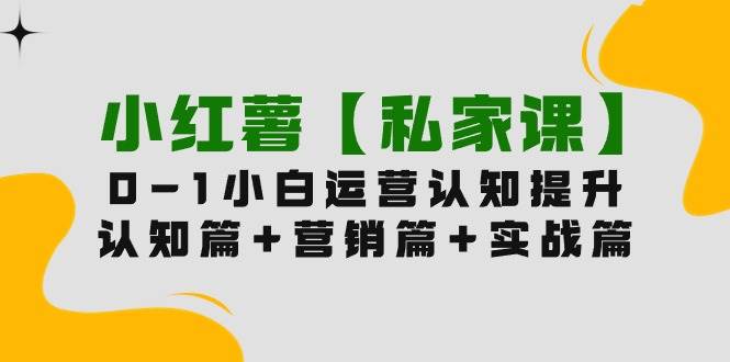 小红薯【私家课】0-1玩赚小红书内容营销，认知篇+营销篇+实战篇（11节课） - 2Y资源-2Y资源