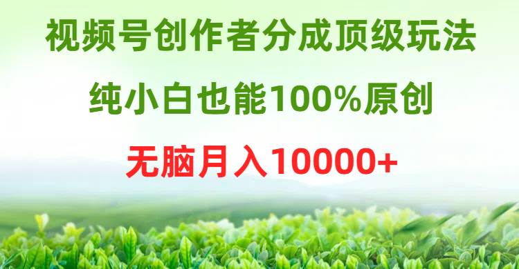 视频号创作者分成顶级玩法，纯小白也能100%原创，无脑月入10000+-2Y资源