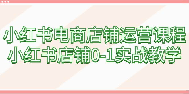 小红书电商店铺运营课程，小红书店铺0-1实战教学（60节课）-2Y资源