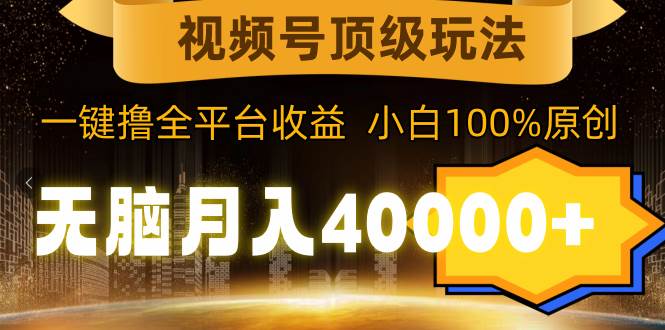 视频号顶级玩法，无脑月入40000+，一键撸全平台收益，纯小白也能100%原创-2Y资源