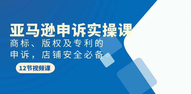 亚马逊-申诉实战课，商标、版权及专利的申诉，店铺安全必备-2Y资源