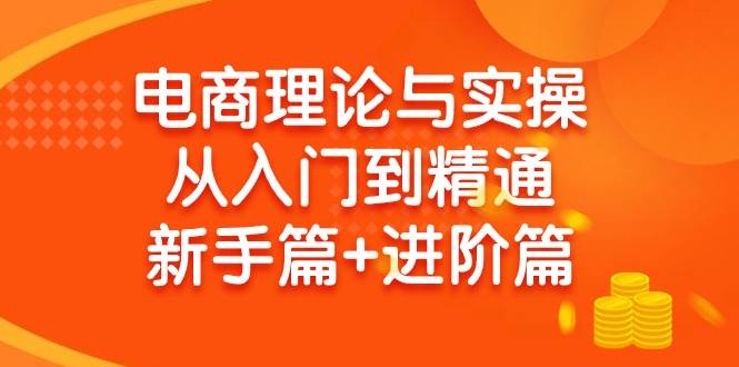 电商理论与实操从入门到精通 新手篇+进阶篇-2Y资源