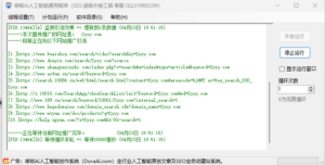 SEO超级外链工具软件,全自动SEO优化工具-2Y资源