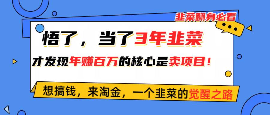 悟了，当了3年韭菜，才发现网赚圈年赚100万的核心是卖项目，含泪分享！-2Y资源