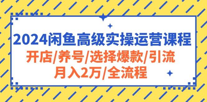 2024闲鱼高级实操运营课程：开店/养号/选择爆款/引流/月入2万/全流程-2Y资源