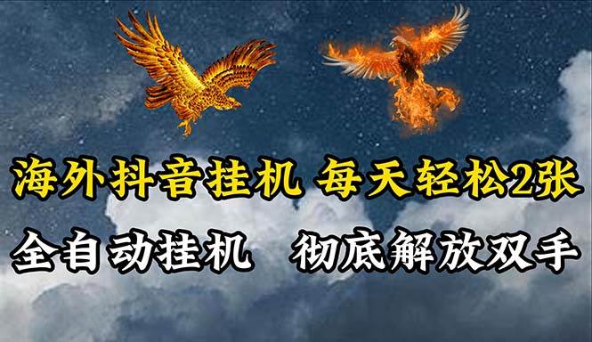 海外抖音挂机，全自动挂机，每天轻松两张-2Y资源