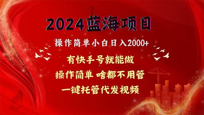 2024蓝海项目，网盘拉新，操作简单小白日入2000+，一键托管代发视频，…-2Y资源