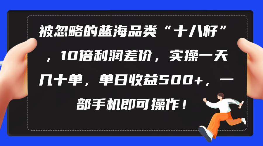 被忽略的蓝海品类“十八籽”，10倍利润差价，实操一天几十单 单日收益500+-2Y资源