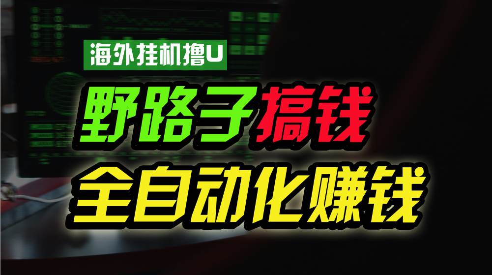 海外挂机撸U新平台，日赚8-15美元，全程无人值守，可批量放大，工作室内…-2Y资源网