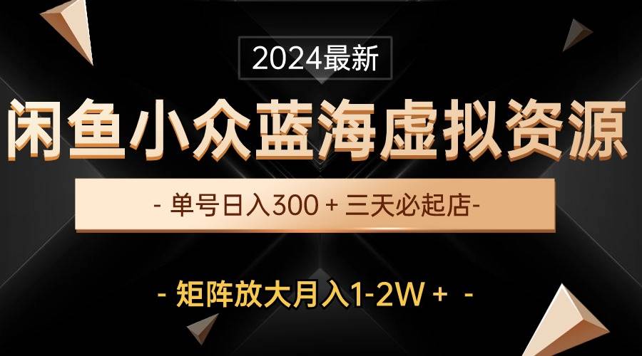 最新闲鱼小众蓝海虚拟资源，单号日入300＋，三天必起店，矩阵放大月入1-2W - 2Y资源-2Y资源