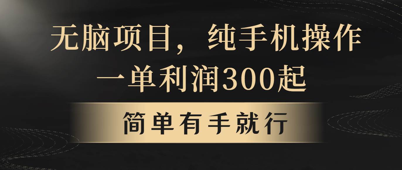 无脑项目，一单几百块，轻松月入5w+，看完就能直接操作-2Y资源