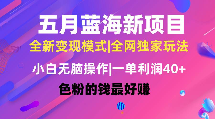 五月蓝海项目全新玩法，小白无脑操作，一天几分钟，矩阵操作，月入4万+-2Y资源