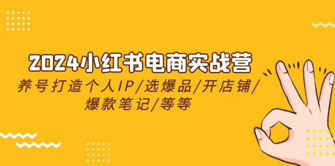 2024小红书电商实战营，养号打造IP/选爆品/开店铺/爆款笔记/等等（24节） - 2Y资源-2Y资源